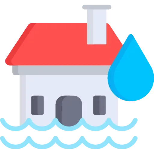 Selling a house with water damage